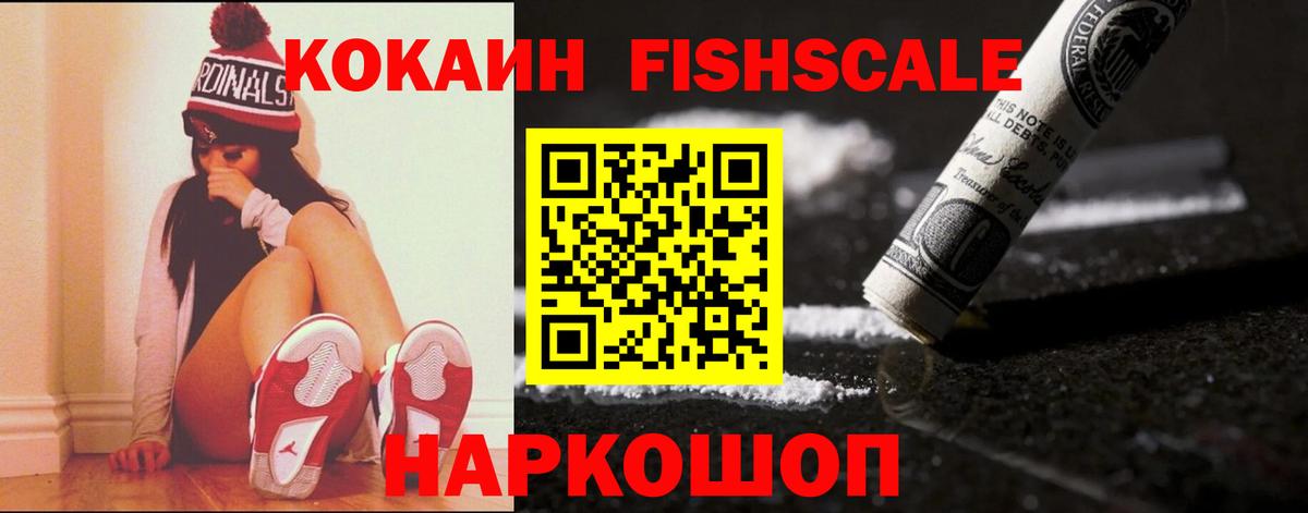 Кокаин  Вход с VPN  Кокаин 98%  Славгород  Кокаин Fish Scale 