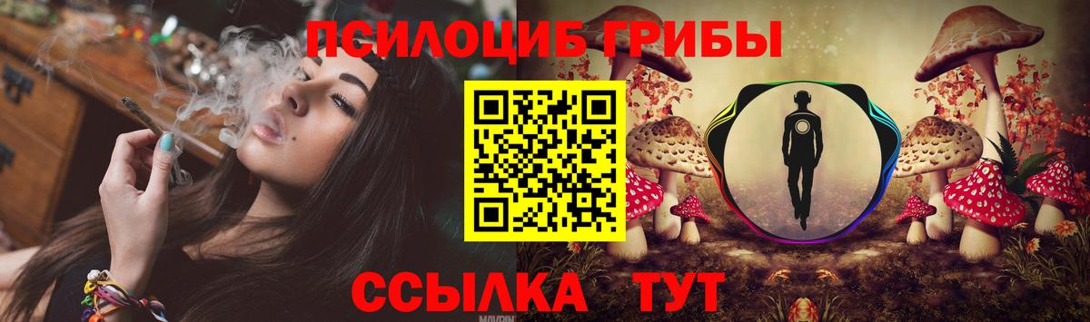 Псилоцибиновые грибы GOLDEN TEACHER Славгород